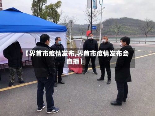 【界首市疫情发布,界首市疫情发布会直播】