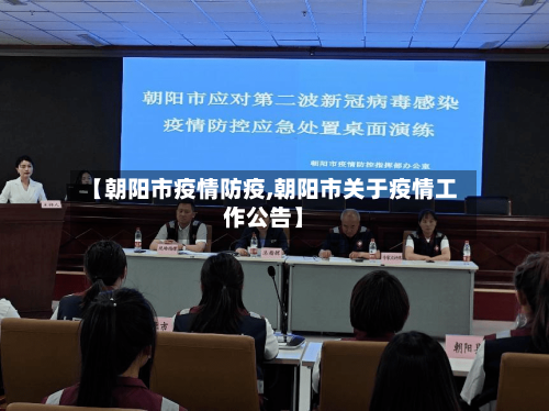 【朝阳市疫情防疫,朝阳市关于疫情工作公告】-第2张图片