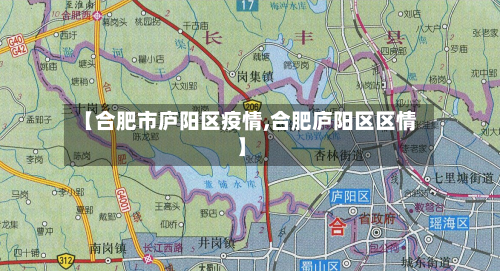 【合肥市庐阳区疫情,合肥庐阳区区情】-第3张图片