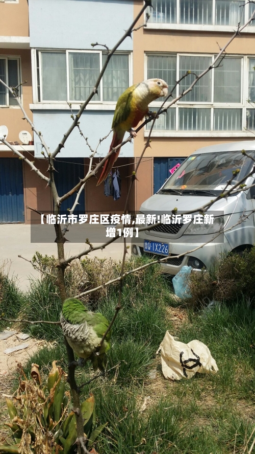 【临沂市罗庄区疫情,最新!临沂罗庄新增1例】