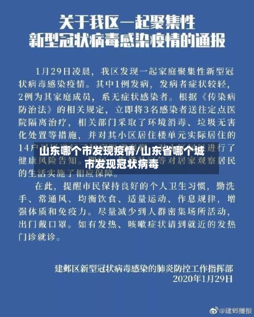 山东哪个市发现疫情/山东省哪个城市发现冠状病毒-第2张图片