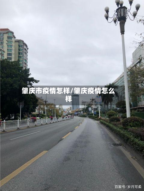 肇庆市疫情怎样/肇庆疫情怎么样