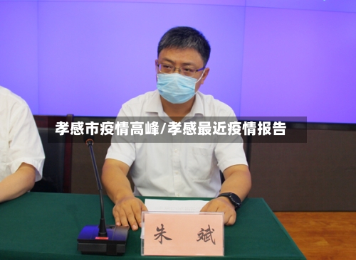孝感市疫情高峰/孝感最近疫情报告