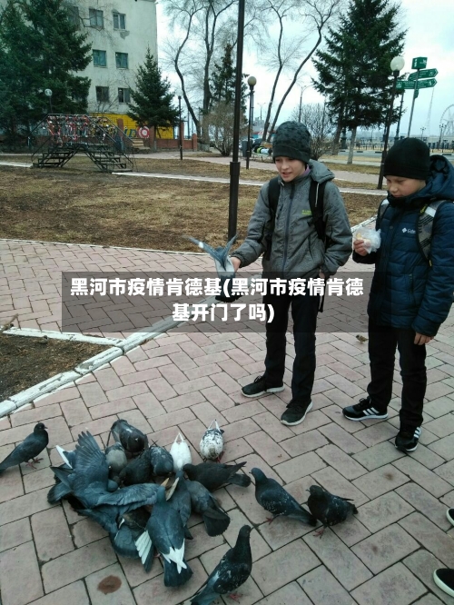 黑河市疫情肯德基(黑河市疫情肯德基开门了吗)-第3张图片