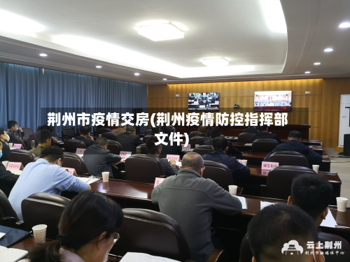 荆州市疫情交房(荆州疫情防控指挥部文件)