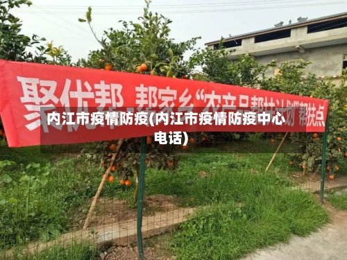 内江市疫情防疫(内江市疫情防疫中心电话)