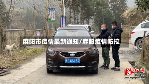 麻阳市疫情最新通知/麻阳疫情防控-第3张图片