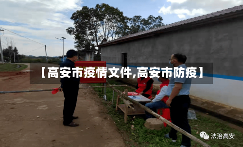 【高安市疫情文件,高安市防疫】