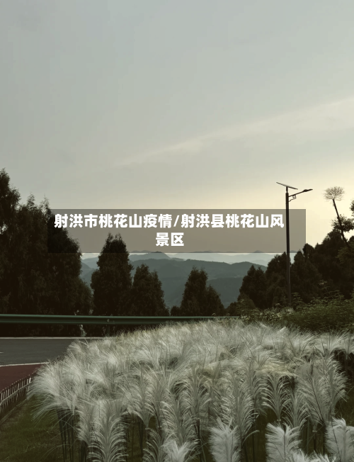 射洪市桃花山疫情/射洪县桃花山风景区-第2张图片