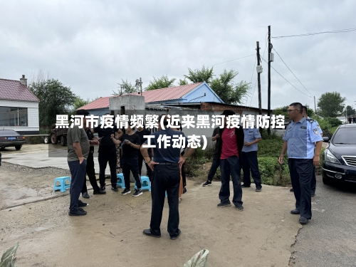 黑河市疫情频繁(近来黑河疫情防控工作动态)-第3张图片