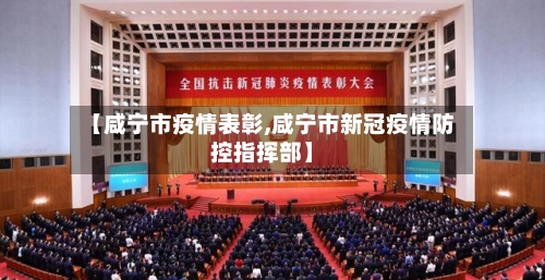 【咸宁市疫情表彰,咸宁市新冠疫情防控指挥部】