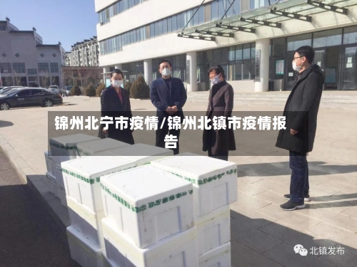 锦州北宁市疫情/锦州北镇市疫情报告-第2张图片