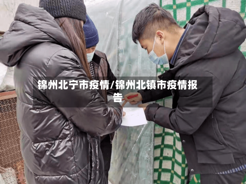 锦州北宁市疫情/锦州北镇市疫情报告-第3张图片