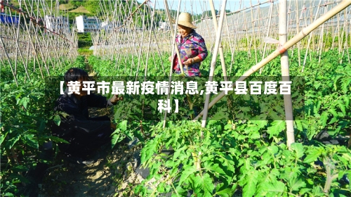 【黄平市最新疫情消息,黄平县百度百科】