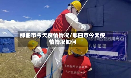 那曲市今天疫情情况/那曲市今天疫情情况如何-第3张图片