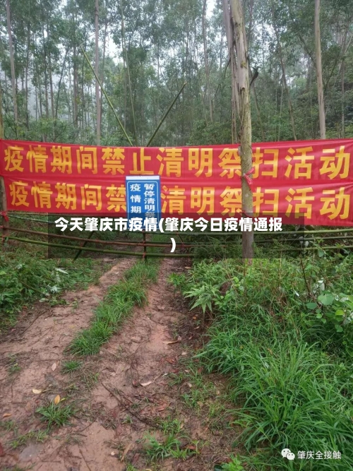 今天肇庆市疫情(肇庆今日疫情通报)-第2张图片