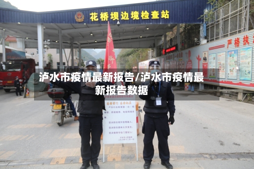 泸水市疫情最新报告/泸水市疫情最新报告数据-第3张图片