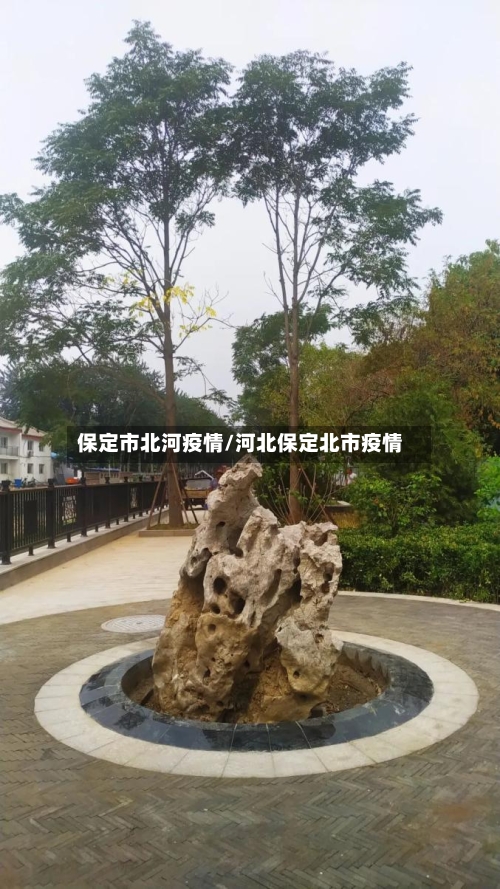 保定市北河疫情/河北保定北市疫情-第2张图片