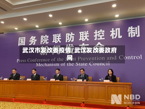 武汉市发改委疫情/武汉发改委政府网-第2张图片