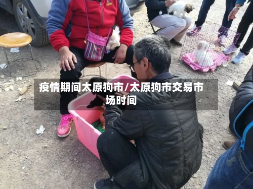 疫情期间太原狗市/太原狗市交易市场时间
