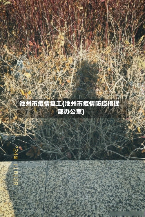 池州市疫情复工(池州市疫情防控指挥部办公室)-第3张图片