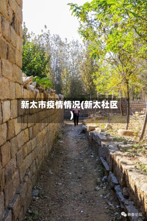 新太市疫情情况(新太社区)