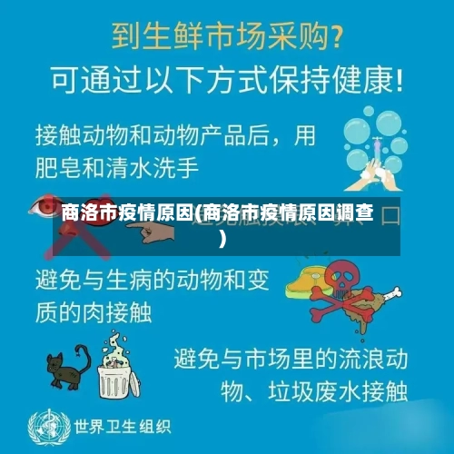 商洛市疫情原因(商洛市疫情原因调查)-第3张图片