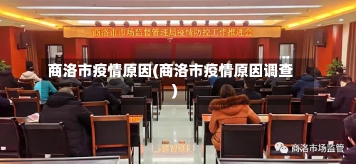 商洛市疫情原因(商洛市疫情原因调查)
