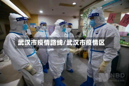 武汉市疫情路线/武汉市疫情区