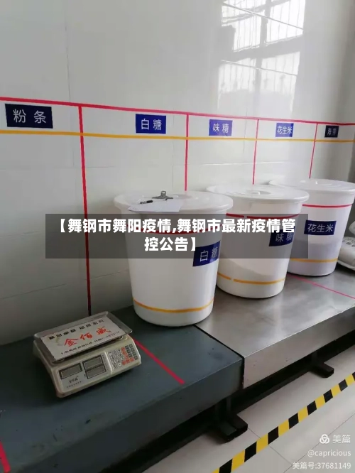 【舞钢市舞阳疫情,舞钢市最新疫情管控公告】-第2张图片