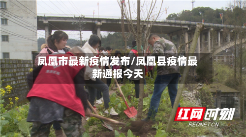 凤凰市最新疫情发布/凤凰县疫情最新通报今天