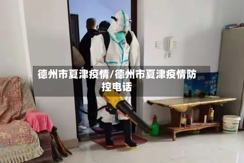 德州市夏津疫情/德州市夏津疫情防控电话-第2张图片