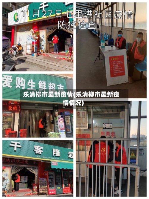 乐清柳市最新疫情(乐清柳市最新疫情情况)-第2张图片