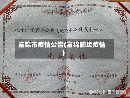 富锦市疫情公告(富锦肺炎疫情)-第2张图片