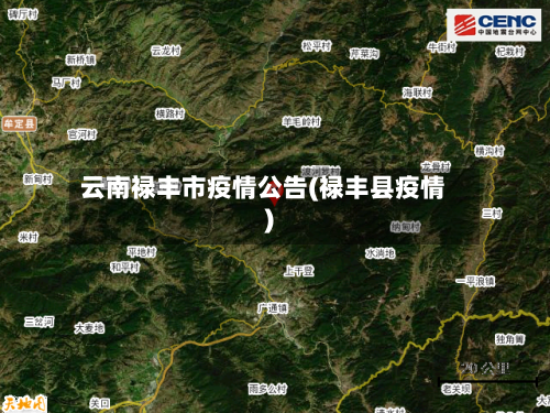 云南禄丰市疫情公告(禄丰县疫情)