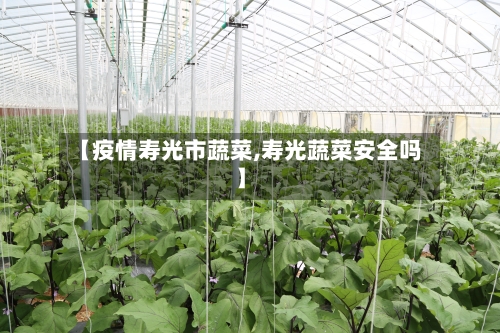 【疫情寿光市蔬菜,寿光蔬菜安全吗】