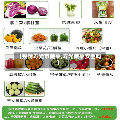 【疫情寿光市蔬菜,寿光蔬菜安全吗】-第2张图片