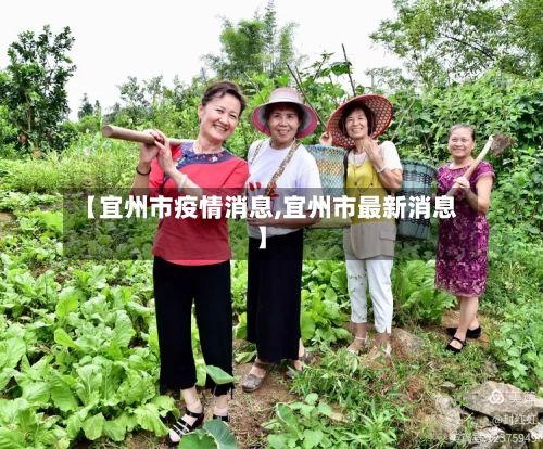 【宜州市疫情消息,宜州市最新消息】-第3张图片