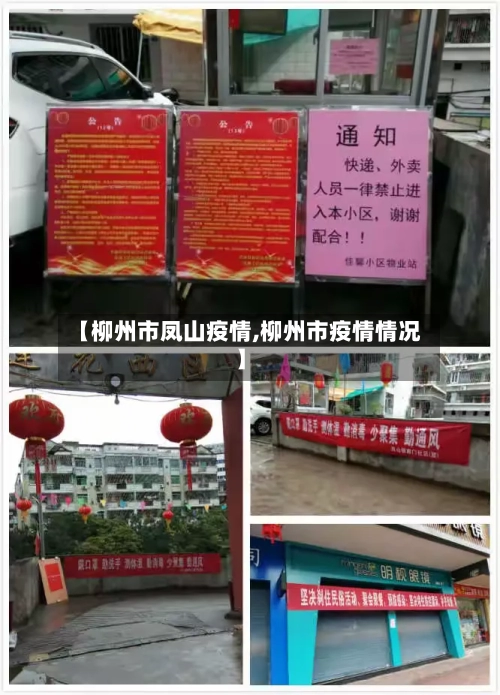 【柳州市凤山疫情,柳州市疫情情况】