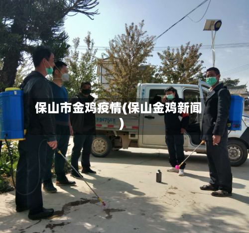 保山市金鸡疫情(保山金鸡新闻)
