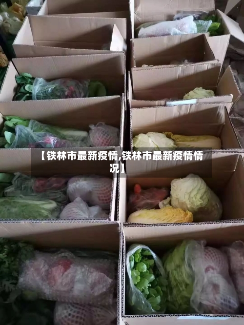 【铁林市最新疫情,铁林市最新疫情情况】