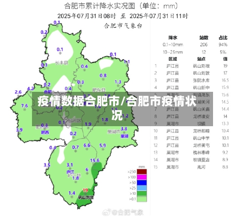 疫情数据合肥市/合肥市疫情状况-第3张图片