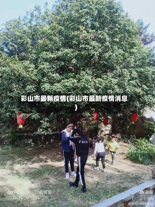 彩山市最新疫情(彩山市最新疫情消息)