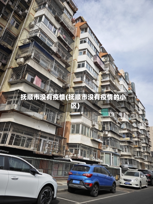 抚顺市没有疫情(抚顺市没有疫情的小区)