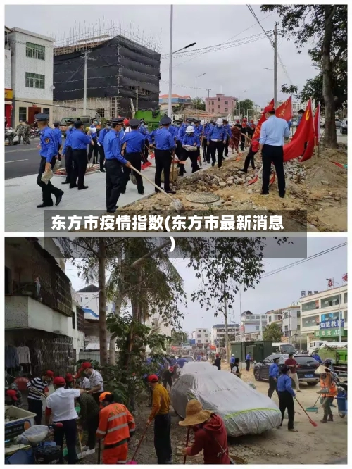 东方市疫情指数(东方市最新消息)