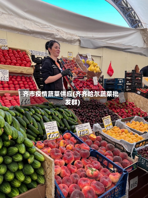 齐市疫情蔬菜供应(齐齐哈尔蔬菜批发群)