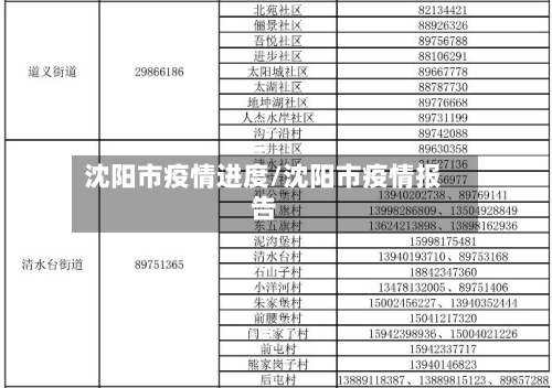 沈阳市疫情进度/沈阳市疫情报告-第3张图片