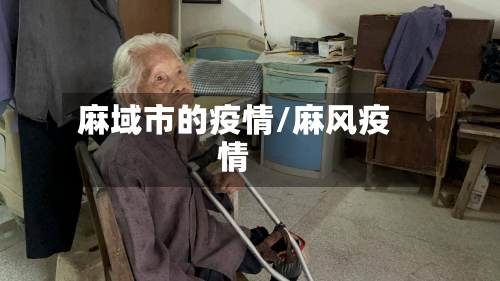 麻域市的疫情/麻风疫情-第3张图片