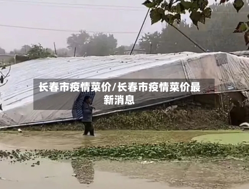 长春市疫情菜价/长春市疫情菜价最新消息-第2张图片