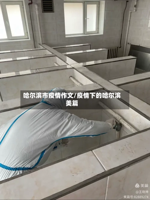 哈尔滨市疫情作文/疫情下的哈尔滨美篇-第3张图片